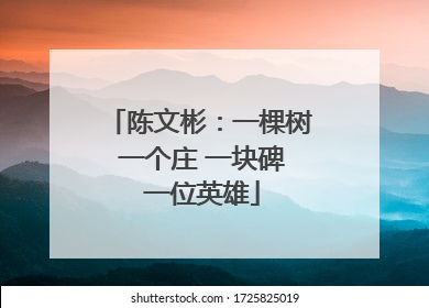 陈文彬：一棵树 一个庄 一块碑 一位英雄